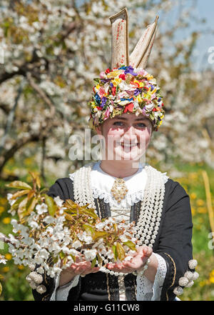 Jork, Germany. 07th May, 2016. Shortly after her crowning, the new 'Blossom Queen of the Altes Land, ' Hilke Loesing, stands between flowering trees in a cherry orchard in Jork, Germany, 07 May 2016. The ceremony traditionally takes place during the annual Blossom Festival. Photo: INGO WAGNER/dpa/Alamy Live News Stock Photo