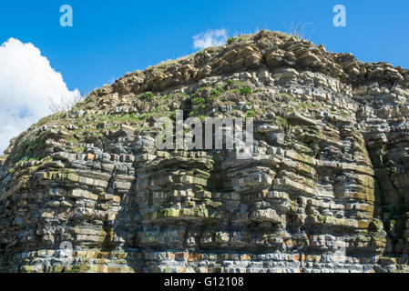 Geological layers of rock in a beach side cliff. Stock Photo