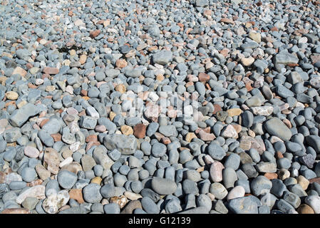 Multi-coloured pebbles on a beach. Stock Photo