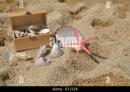 Red starfish and lot of seashells in wooden chest and around it on sandy beach Stock Photo