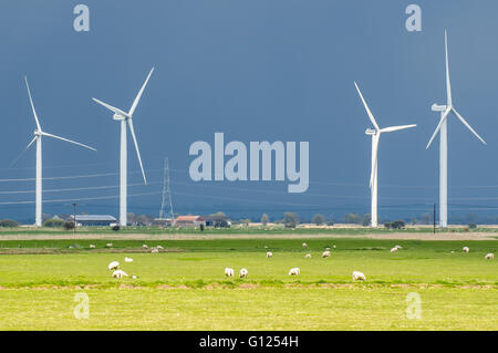 The Little Cheyne Court Wind Farm is located 7 kilometres (4.3 miles) west of Lydd on Romney Marsh. It was built by npower Stock Photo