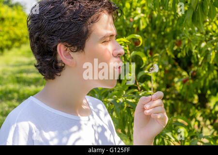 teenager next to rows of apple trees blowing a dandelion Stock Photo