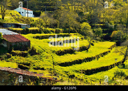 Portugal, Algarve:  View to green terraces in the mountain region Serra de Monchique around Fóia Stock Photo