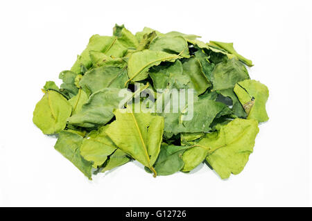 Dried kaffir lime leaves on a white background Stock Photo