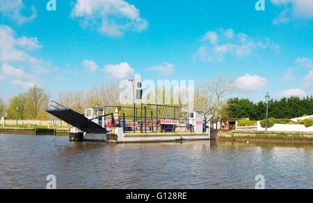 Reedham ferry on the River Yare, on the Norfolk Broads during a bright sunny day on the river Stock Photo