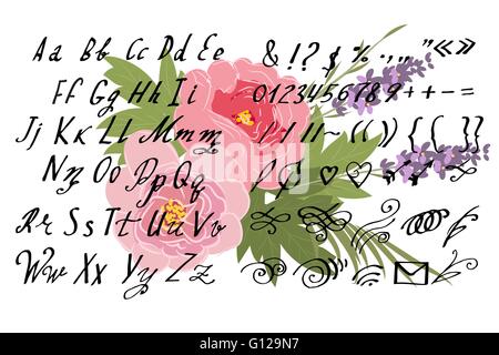 Vector Illustration brush style of calligraphy alphabet lowercase letters and numbers Stock Vector