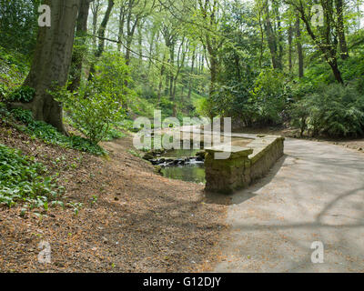 Peasholm Glen, Scarborough Stock Photo - Alamy