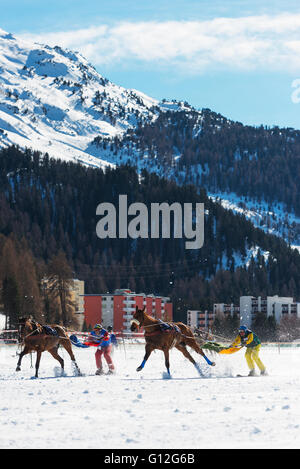 Europe, Switzerland, Graubunden, Engadine, St Moritz in winter, White Turf International Horse Race, Skijoring event Stock Photo