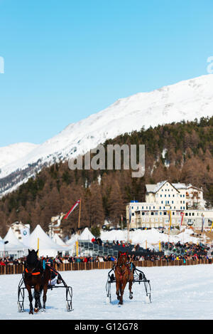 Europe, Switzerland, Graubunden, Engadine, St Moritz in winter, White Turf International Horse Race, Trap event Stock Photo