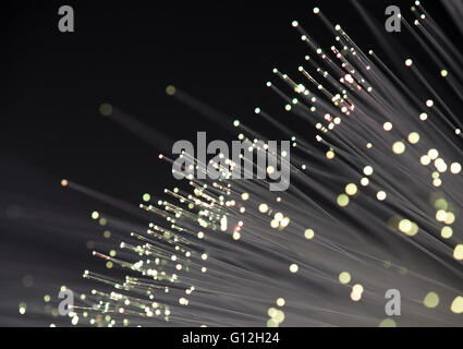 fiber optical network cable Stock Photo