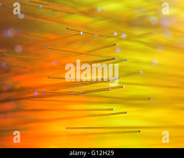 optical fibres dinamic flying from deep on technology background Stock Photo