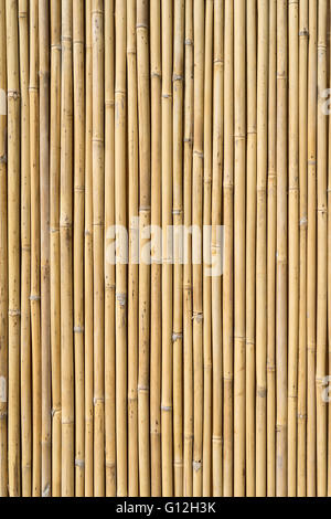 bamboo fence Stock Photo