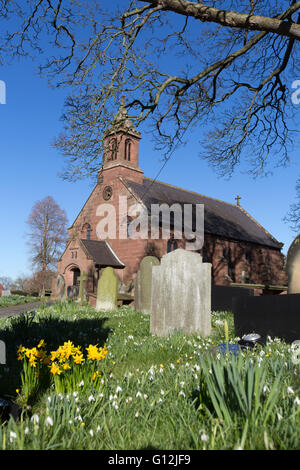 Picturesque spring view of the daffodils and snowdrops in front of St Mary’s Church, in the Cheshire village of Coddington. Stock Photo