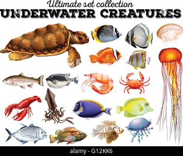 Underwater Sea With Different Aquatic Creatures Swimming Colorless Line ...