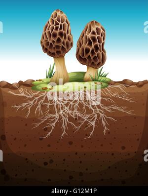 Mushroom growing from underground illustration Stock Vector