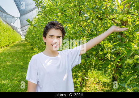 teenager next to rows of apple trees stretches out his hand to show a green apple Stock Photo