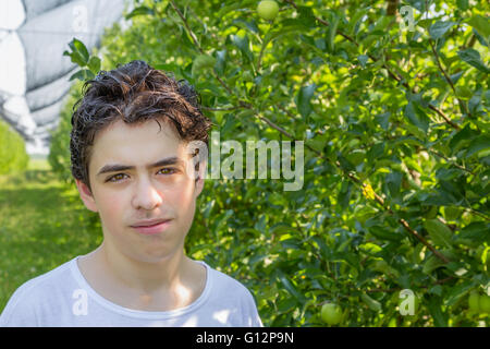 teenager next to rows of apple trees Stock Photo