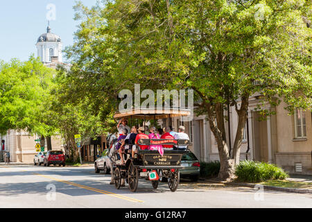 Tourists take a horse-drawn carriage tour on E Bay Street in historic Charleston, South Carolina. Stock Photo