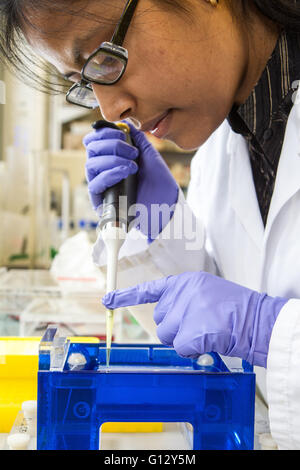 Chinese scientist working in lab Stock Photo