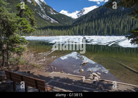 View point with bench looking over mirror-like Lower Joffre lake, forest, mountains and glaciers. Stock Photo