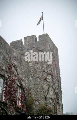 Vine covered Fonmon Castle tower with Welsh flag flying on a grey day. Stock Photo
