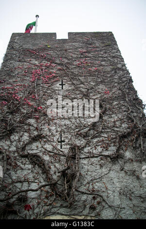 Fonmon Castle tower with arrowslits. Welsh flag flying on a grey day. Stock Photo