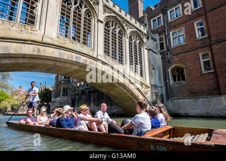 A punting guide strokes the punt along the green Cam River on a day filled with tourism, fun, excitement.