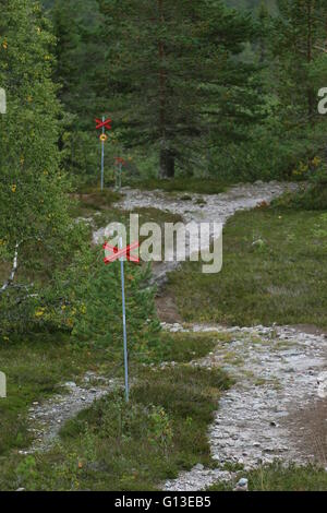 Marked swedish ski trail in summer with rocks. Stock Photo