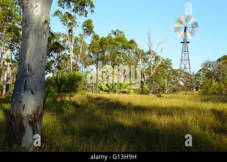 A multi-colored windmill spins in a peaceful rural scene near Eidsvold, Queensland, Australia. Stock Photo