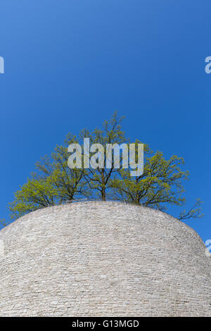 Top of trees against blue sky with clouds Stock Photo - Alamy