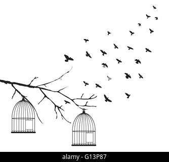 vector illustration of bird cages with flying birds Stock Vector Image ...