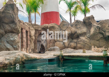 Fur Seal from South American (Arctocephalus australis) playing on a deck Stock Photo