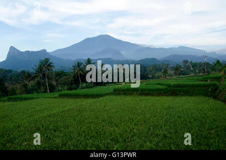 gunung bongkok, hill bongkok part of Mount Ceremai, located in Argapura - Majalengka Stock Photo