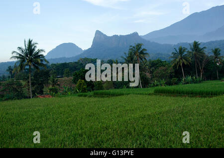 gunung bongkok, hill bongkok part of Mount Ceremai, located in Argapura - Majalengka Stock Photo