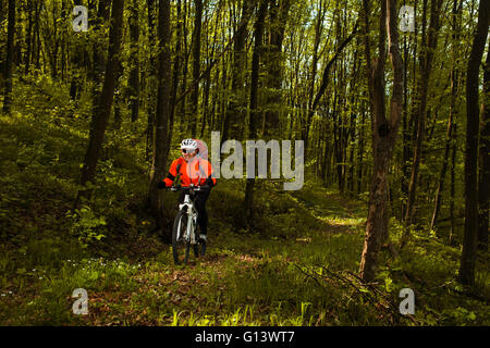 Cyclist Riding the Bike in Beautiful Spring Forest Stock Photo