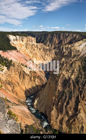 WY01641-00...WYOMING - The very colorful Grand Canyon of the Yellowstone in Yellowstone National Park. Stock Photo