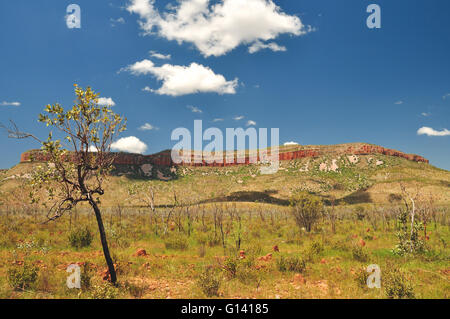 The Cockburn ranges near El Questro in Western Australia Stock Photo