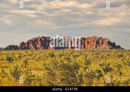 Bee Hive formations at the Bungle Bungles in Western Australia Stock Photo