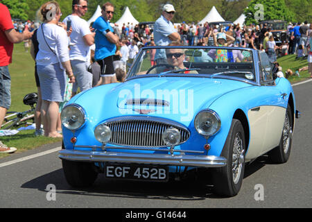 Austin-Healey 3000 Mark III (1964). Chestnut Sunday, 8th May 2016. Bushy Park, Hampton Court, London Borough of Richmond, England, Great Britain, United Kingdom, UK, Europe. Vintage and classic vehicle parade and displays with fairground attractions and military reenactments. Credit:  Ian Bottle / Alamy Live News Stock Photo