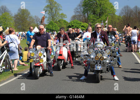 Vespa and Lambretta scooters. Chestnut Sunday, 8th May 2016. Bushy Park, Hampton Court, London Borough of Richmond, England, Great Britain, United Kingdom, UK, Europe. Vintage and classic vehicle parade and displays with fairground attractions and military reenactments. Credit:  Ian Bottle / Alamy Live News Stock Photo