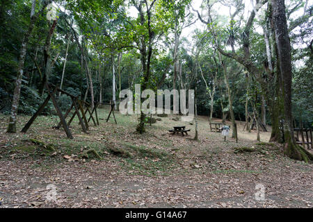 Sao Paulo, Brazil. 8th May, 2016. Playground at recreation area, empty swings near trees, is seen during this cloudy day in Cantareira State Park (Portuguese: Parque Estadual da Cantareira) in Sao Paulo, Brazil. Credit:  Andre M. Chang/ARDUOPRESS/Alamy Live News Stock Photo
