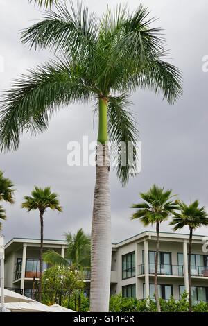 The Andaz Maui luxury hotel in Wailea, Maui (Hawaii) Stock Photo