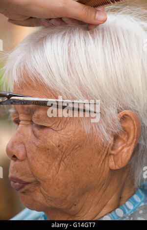 Hair stylist cutting senior woman's gray hair Stock Photo