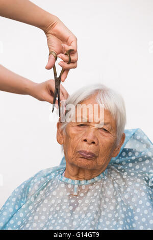 Hair stylist cutting senior woman's gray hair Stock Photo