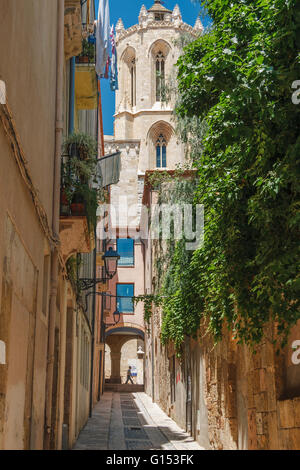 Santa Tecla street leading to the side of the cathedral in Tarragona, Catalonia, Spain Stock Photo