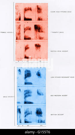 Spectrograms of male and female speech patterns with the word "speech ...
