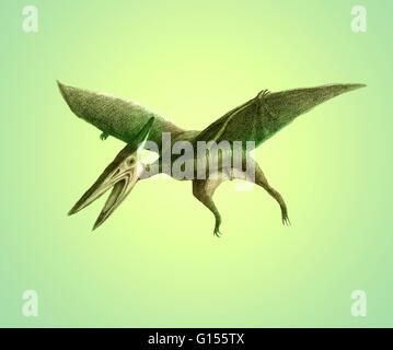 Pteranodon pterosaur pterodactyl artwork pteranodon hi-res stock  photography and images - Alamy