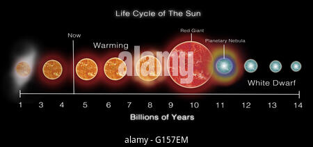 Illustration of the life cycle of the Sun. Our Sun was created approximately 4.6 million years ago from the gravitational collapse of a giant molecular cloud (GMC, left). As the GMC collapsed it released heat and eventually the Sun became hot enough to be Stock Photo