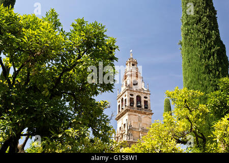 The Bell Tower, also called the Tower of Alminar, seen from the Courtyard of the Orange Trees of the Mosque-Cathedral of Cordoba Stock Photo