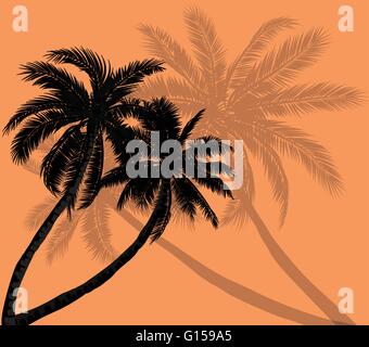 Vector palm trees with silhouettes of leaves Stock Vector